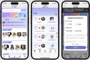 最新树洞陪玩系统源码